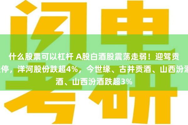 什么股票可以杠杆 A股白酒股震荡走弱！迎驾贡酒触及跌停，洋河股份跌超4%，今世缘、古井贡酒、山西汾酒跌超3%