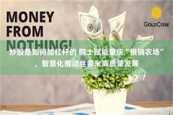 炒股是如何加杠杆的 院士赋能肇庆“供销农场”，智慧化推动丝苗米高质量发展