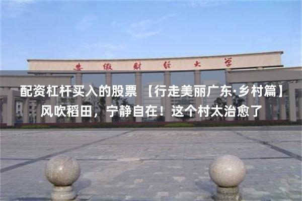 配资杠杆买入的股票 【行走美丽广东·乡村篇】风吹稻田，宁静自在！这个村太治愈了