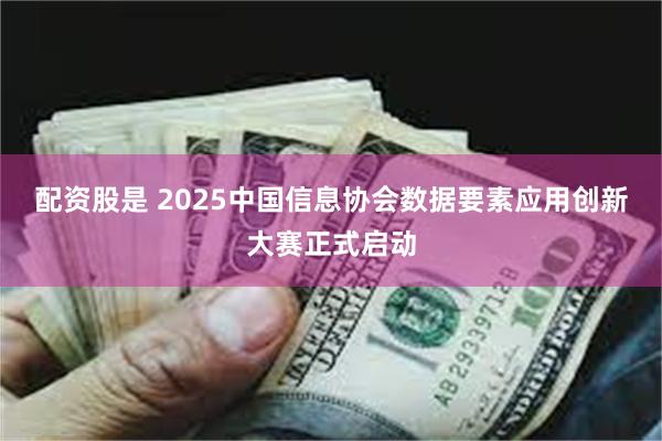 配资股是 2025中国信息协会数据要素应用创新大赛正式启动