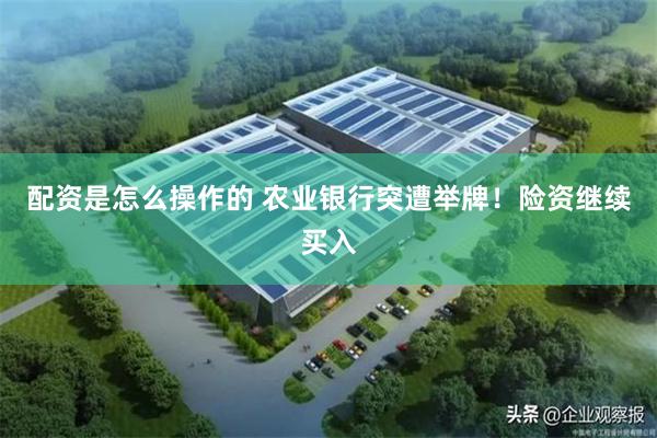 配资是怎么操作的 农业银行突遭举牌！险资继续买入