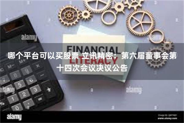 哪个平台可以买股票 立讯精密：第六届董事会第十四次会议决议公告