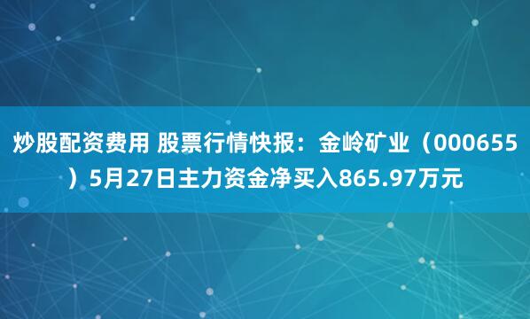 炒股配资费用 股票行情快报：金岭矿业（000655）5月27日主力资金净买入865.97万元
