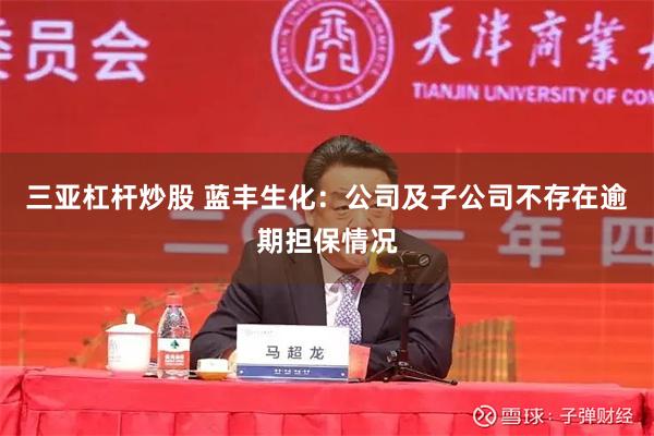 三亚杠杆炒股 蓝丰生化：公司及子公司不存在逾期担保情况