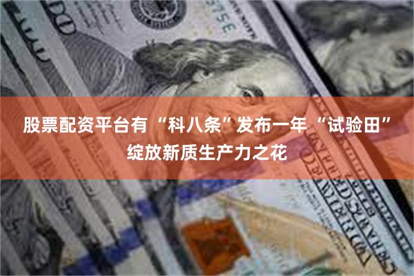 股票配资平台有 “科八条”发布一年 “试验田”绽放新质生产力之花