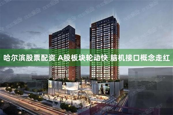 哈尔滨股票配资 A股板块轮动快 脑机接口概念走红