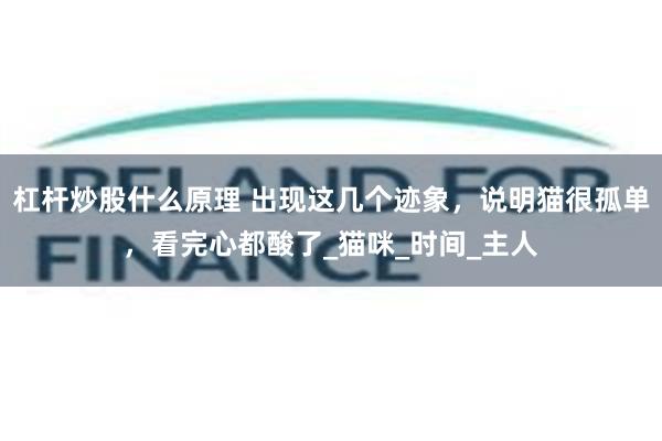 杠杆炒股什么原理 出现这几个迹象，说明猫很孤单，看完心都酸了_猫咪_时间_主人